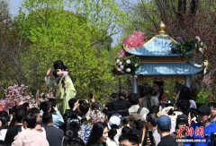 宋韵花朝踏春行 2026杭州西溪花朝活动吸引游人